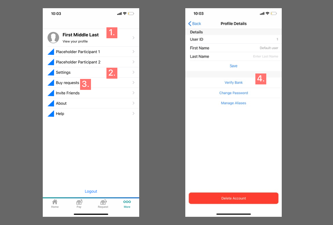 Development build — pay request detail